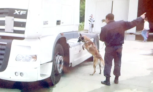 Câinii polițiști nu au  putut detecta marfa, din  cauza faptului că  drogurile erau ”îmbibate” cu condimente iuți jpeg