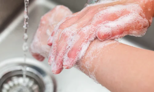 sapun_shutterstock 630315251 jpg