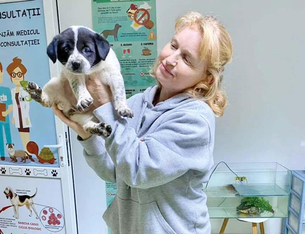 
    Sunny, animăluţul  care s-a vindecat  miraculos  
