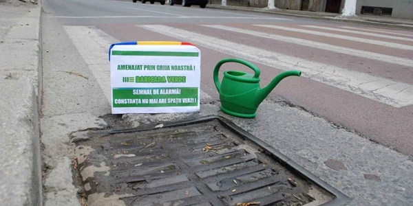 Canalizările verzi. Ecologiştii au semănat iarbă în scurgerile colmatate ale Constanţei Foto Baricada verde