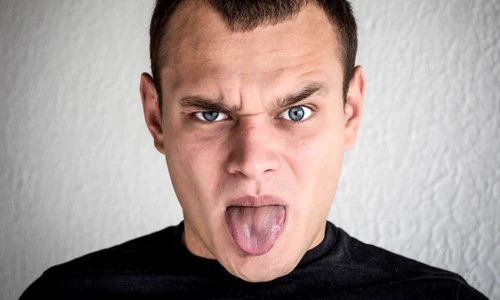 shutterstock 729257650 jpg