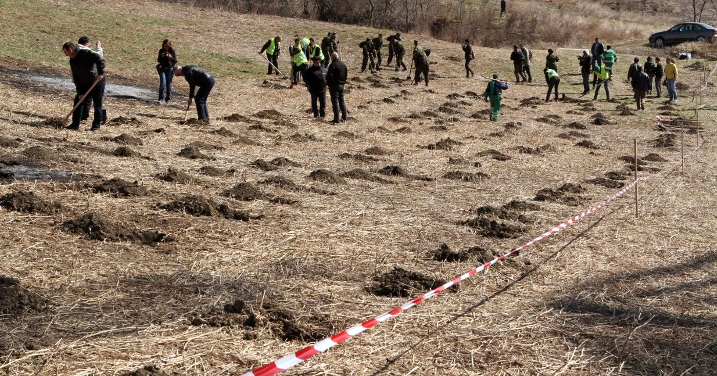 Voluntarii au găsit în 2012, zona Bulevardului Muncii mai uscată decât anul precedent. 