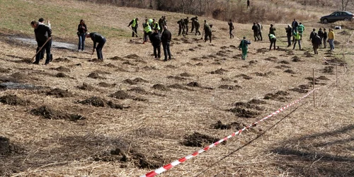 Voluntarii au găsit în 2012, zona Bulevardului Muncii mai uscată decât anul precedent.