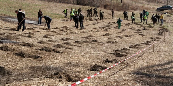 Voluntarii au găsit în 2012, zona Bulevardului Muncii mai uscată decât anul precedent. 