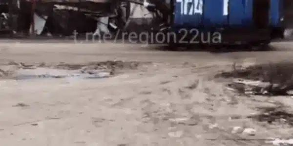 tanc gif gif