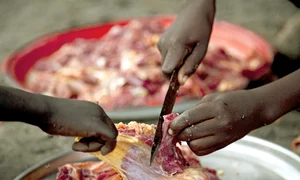 CLIIMA20140214 0093 1 jpeg