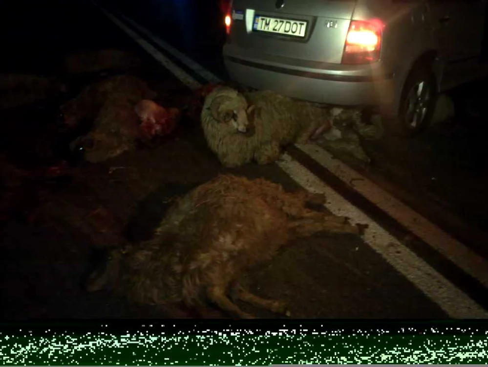 Şoferul avea asigurare casco pentru maşină