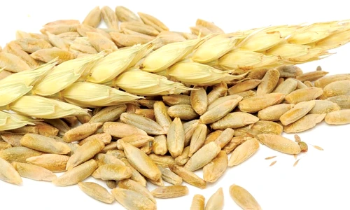 1 69517 original jpg jpeg