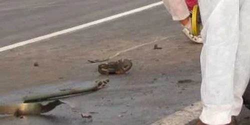 Oamenii legii au căutat câteva ore piciorul victimei