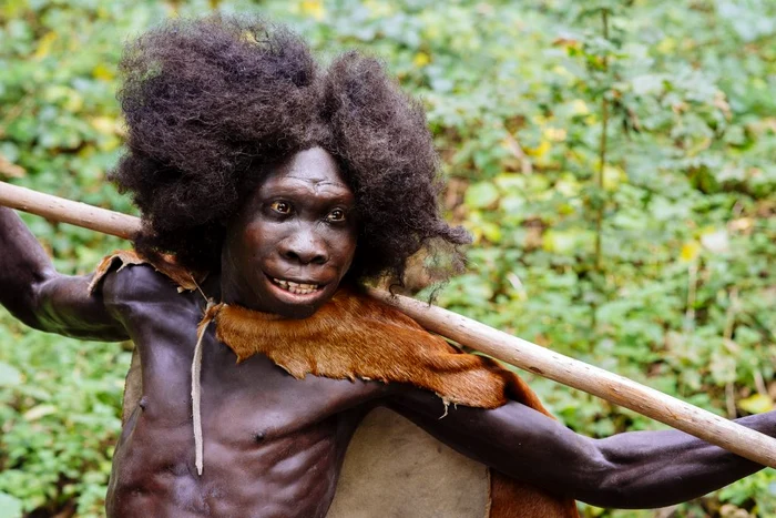 Homo erectus Turkana boy jpg jpeg