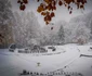 Foto: Facebook / Administratia Sarmizegetusa Regia