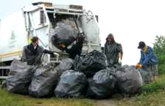 Voluntarii sunt singurii care mai curăţă zonele verzi de gunoaie