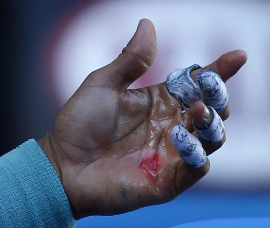
    Djokovic l-a învins pe Nadal în finala Australian Open (Foto: Reuters)  
