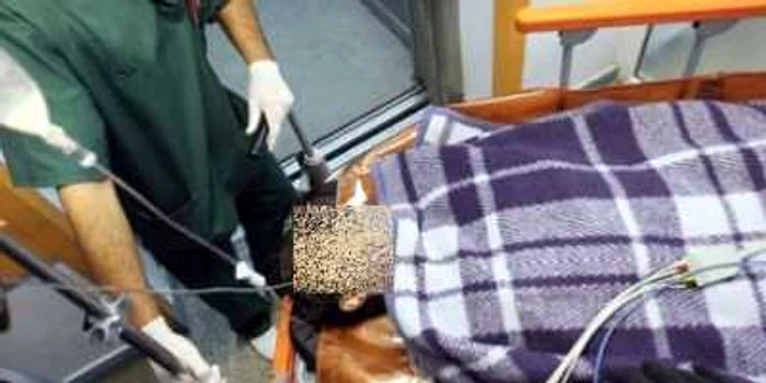 Tinerele au fost transportate de urgenţă la spitalul din Petroşani.