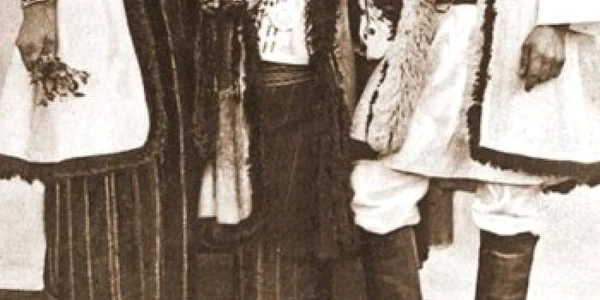 tarani