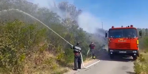 captura video incendiu dolj