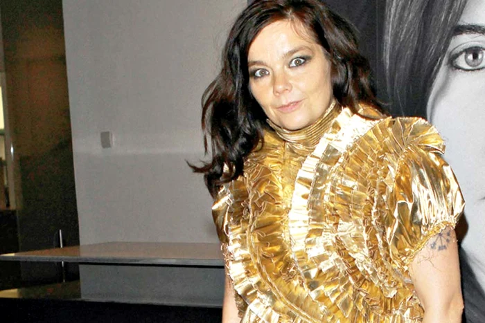 
    Bjork a fost prezentă  în septembrie un  eveniment caritabil din  New York, unde a şi cântat (Foto: guliver/splashnews)  