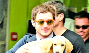 Elijah  Wood (29 de ani)  are un patruped rasa jpeg