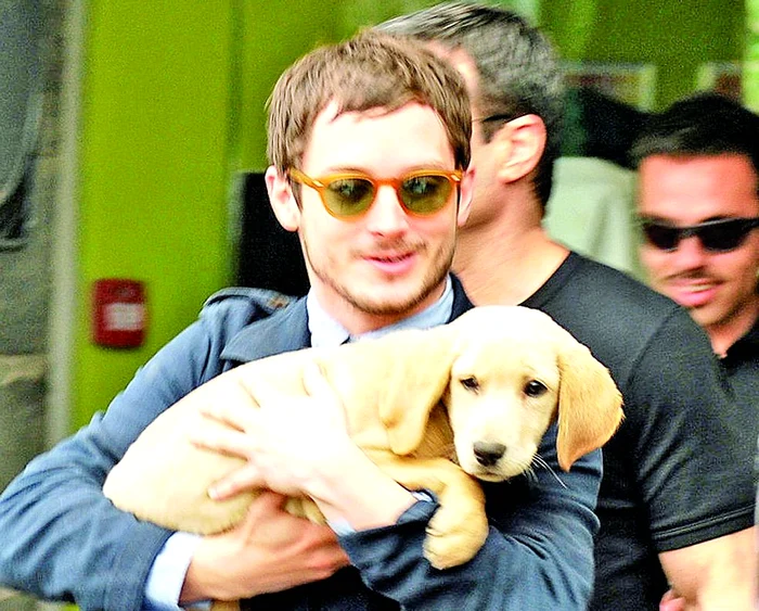 Elijah Wood (29 de ani) are un patruped rasa