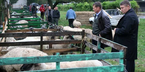 Botoşani: Florin Ţurcanu( dreapta) 