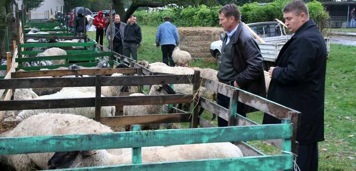 Botoşani: Florin Ţurcanu( dreapta) 