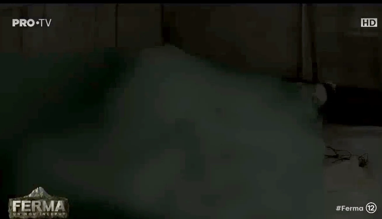 13 brigitte pastrama sex ferma 3 jpg jpeg