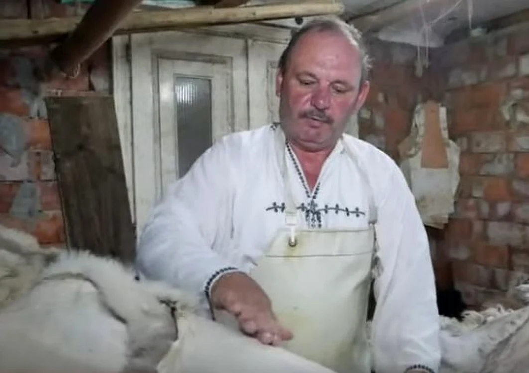 cojocar valea sebesului