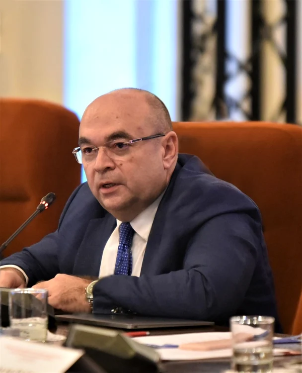 prof. dr. Radu Vladareanu 