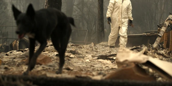 California distrusă de incendii. FOTO Guliver-Gettyimages