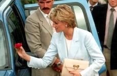 diana printesa profi jpg