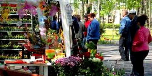expozitie