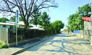 CLIIMA20090928 0212 1 jpeg