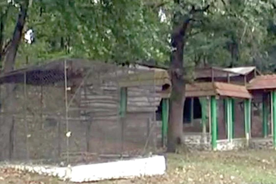 Grădina Zoologică din Slatina nu este momentan “locuită”