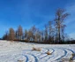 Poiana Omului Ianuarie 2024 Foto Daniel Guță ADEVĂRUL (9) jpg