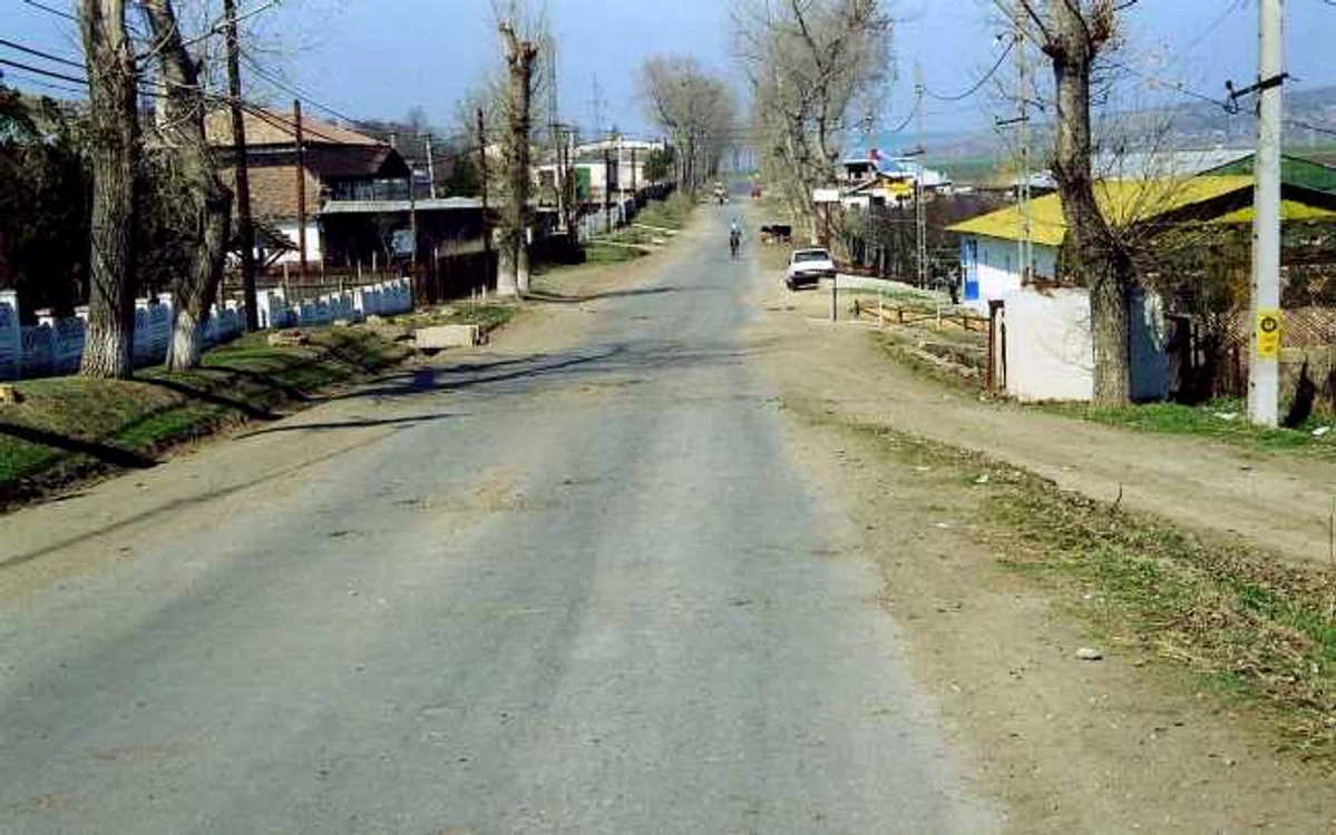 murgeni