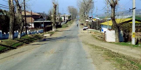 murgeni
