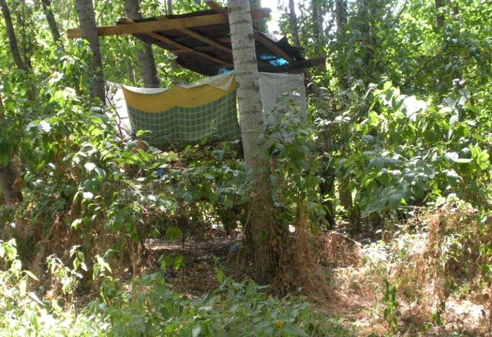 Casa construită în plopi de Marian Moga, copilul izgonit de acasă de părinţi