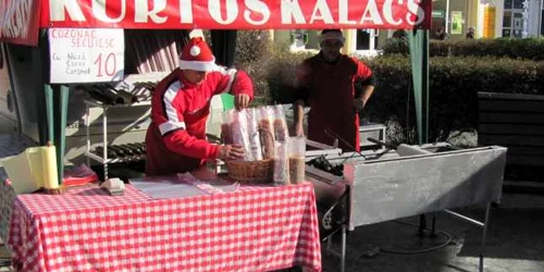 Kurtos secuiesc la Alexandria