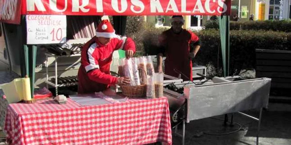 Kurtos secuiesc la Alexandria