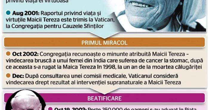 Infografie Maica Tereza