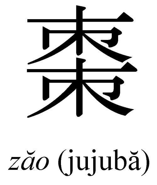 Prăjitură de jujube la abur (zheng zao gao) jpeg