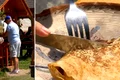 turisti pe transalpina  