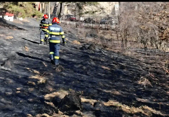 Incendiu pădure și vegetație