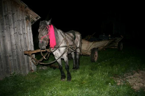 Poliţist de frontieră sucevean