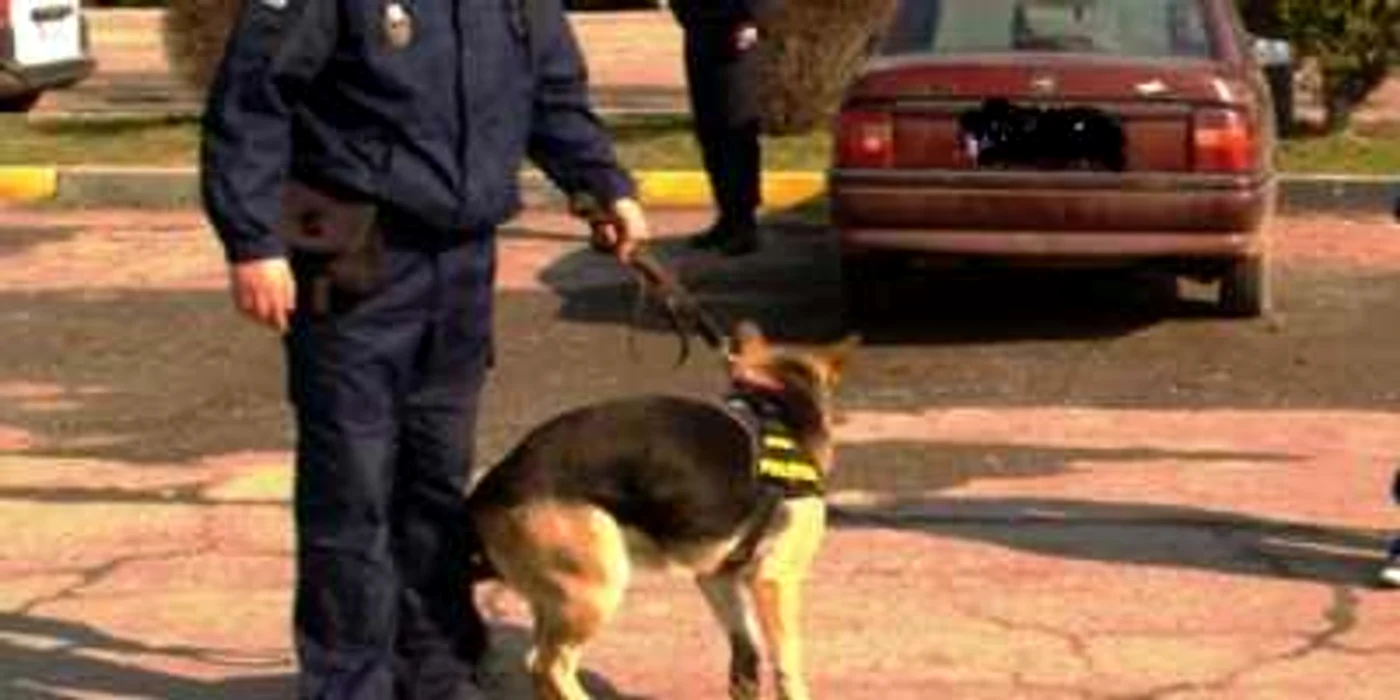 Micax a mai făcut o victimă în rândul contrabandiştilor