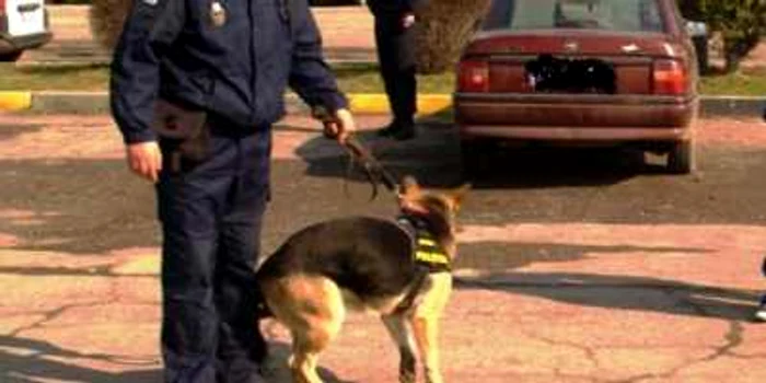 Micax a mai făcut o victimă în rândul contrabandiştilor