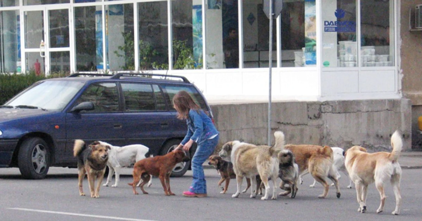 Foto arhivă