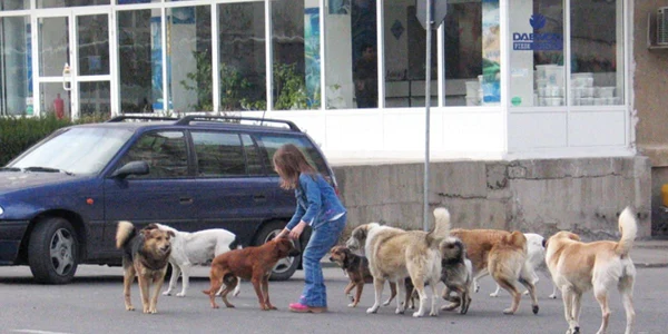 Foto arhivă