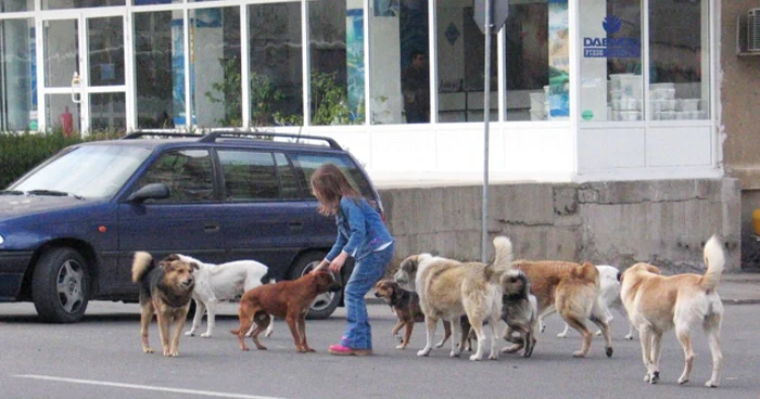 Foto arhivă