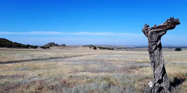 mutii macin foto RNP